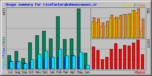 Usage summary for ricefactorybahmanzamani.ir